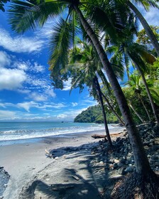 Makanda by The Sea Hotel