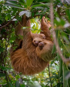 Makanda by The Sea Hotel