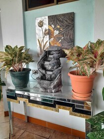 Natural Pacific Suites