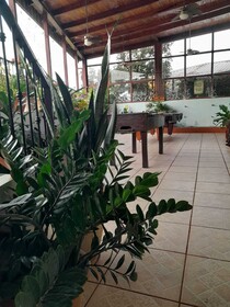 Natural Pacific Suites