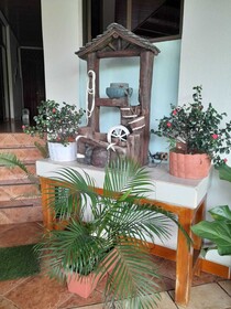 Natural Pacific Suites