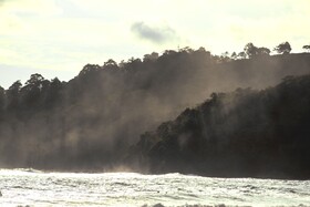 Selina Manuel Antonio