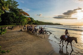 The Coast Beachfront Hotel