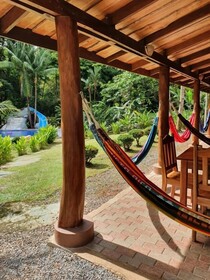 Whale Tail Hotel