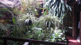 Charly's Place Hotel