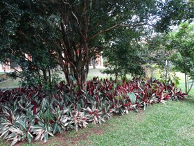 Suites Merlyn Aeropuerto