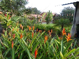 Suites Merlyn Aeropuerto