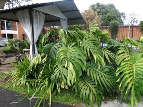 Suites Merlyn Aeropuerto