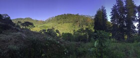 Arte De Plumas Birding Lodge