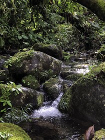 Arte De Plumas Birding Lodge