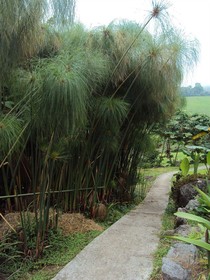 Guayabo Lodge