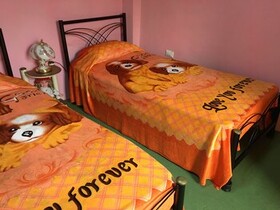 Casa Particular Burton