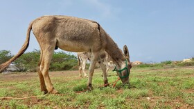 Villa Maris Ecolodge