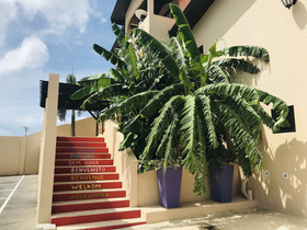 Casa Amalia