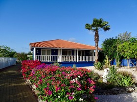 Coral Estate Rentals