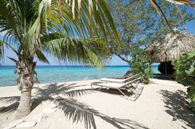 Coral Estate Rentals