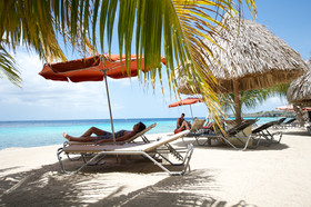 Coral Estate Luxury Resort