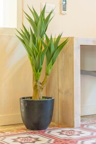 Boutique Hotel 't Klooster