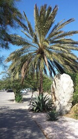 Curacao Dream Vacation Blue Bay