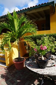 Landhuis Bona Vista