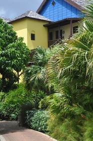 LionsDive Beach Resort