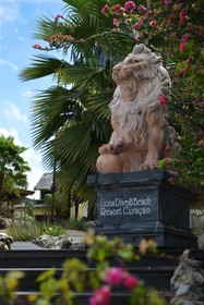 LionsDive Beach Resort