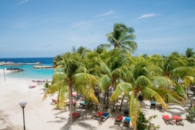 LionsDive Beach Resort