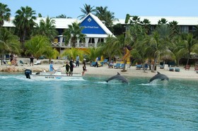 LionsDive Beach Resort