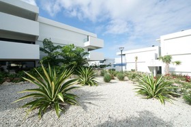 Papagayo Beach Hotel