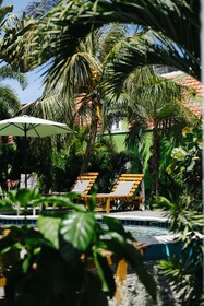 Pietermaai Oasis