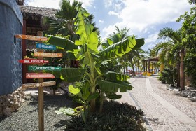 Blue Bay Curacao The Hill
