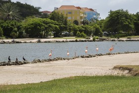Blue Bay Curacao The Hill