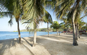 Tropical Breeze Apartments