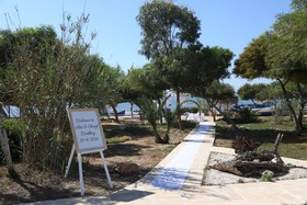 Thalassines Beach Villas