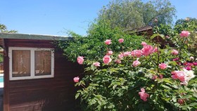 Green Bungalow