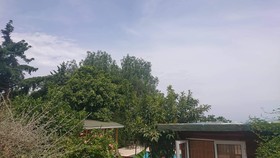 Green Bungalow