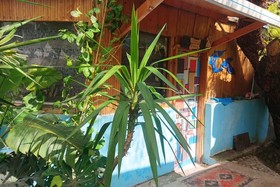 Green Bungalow