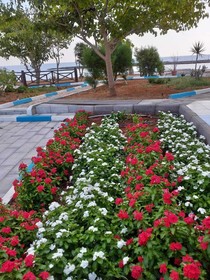 Livana Hotel