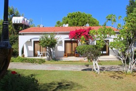 Bare Hills Boutique Hotel & Pool