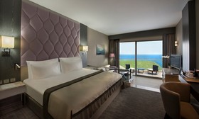 Elexus Hotel Resort & Spa