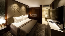 Elexus Hotel Resort & Spa
