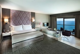 Elexus Hotel Resort & Spa