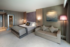 Elexus Hotel Resort & Spa