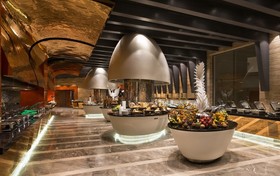 Elexus Hotel Resort & Spa