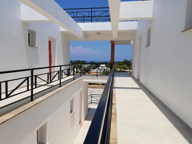 Lotus Apartments