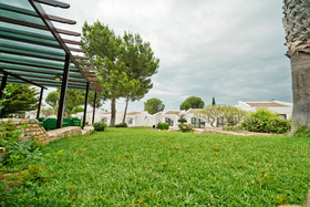 The Olive Tree Hotel