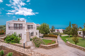 The Olive Tree Hotel