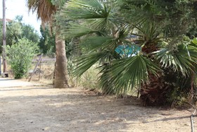 Costas Hostel Action 2