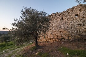 Dioni Palace