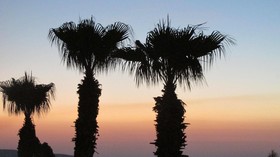 Pigeon Beach Hotel Apartments